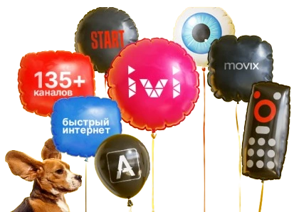 Услуги Дом.ру в посёлок Усть-Ижора